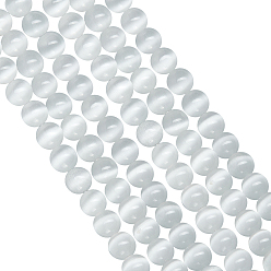 Blanco Cuentas de ojo de gato arricraf, rondo, blanco, 7.5~8 mm, agujero: 1 mm, aproximadamente 14~14.5 pulgada / hebra, sobre 48~50 unidades / cadena, 3 hebras / caja