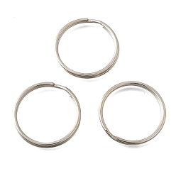 Платина Железа отделились брелоки, брелок для ключей, платина, 30x3 мм, внутренний диаметр: 26 мм