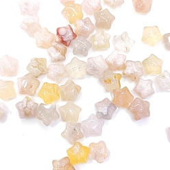 Cherry Blossom Agate Natural Cherry Blossom Agate Beads, Star, 10x5mm, 21pcs/set
