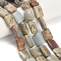 Аква Терра Яшма Натуральные бусины из аква терра яшмы, прямоугольные, 9.5~10x13.5~14x4.5~5, отверстие : 1.2 мм, около 26~29 шт / нитка, 14.76~16.14'' (37.5~41 см)