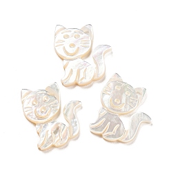 White Natural Sea White Shell Cat Charms, White, 15x13x1.7mm, Hole: 1mm