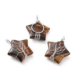 Tiger Eye Natural Tiger Eye Pendants, with Platinum Tone Copper Wire Wrapped, Cadmium Free & Lead Free, Star, 34~37.5x29~31x10~12mm, Hole: 5~6mm