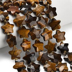 Тигровый глаз Природных тигровый глаз бисер нитей, звезда, граненые, с бисером, 14~14.5x14.5~15x6~6.5 мм, отверстие : 1~1.2 мм, около 26 шт / нитка, 14.96~15.63'' (38~39.7 см)