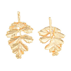 Golden Brass Stud Earring Findings, with Vertical Loops, Oak Leaf, Nickel Free, Golden, 29.5x17mm, Hole: 1mm, Pin: 0.8mm