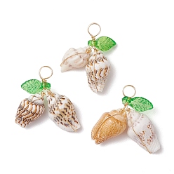 Перу Подвески из натуральной морской ракушки, обмотанные медной проволокой, с акриловым листом цвета зеленого лайма, золотые, Перу, 15~21x16~21.5x5.5~8 мм, отверстие : 3.5 мм