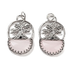 Розовый Кварц Подвески для сумок из натурального розового кварца, покрытие стойки старинные посеребренные латунные подвески в виде дерева, без кадмия и без свинца, 41x26x6 мм, отверстие : 5.5 мм