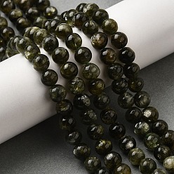 Темно-оливково-зеленый Натуральные лепидолитовые бусины, круглые, 8 мм, отверстие : 1 мм, около 51 шт / нитка, 15.16'' (38.5 см)