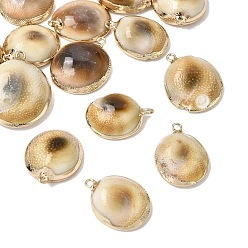 Peru Brass & Natural Shell Pendants, Conch Shape Charms, with Golden Plated Edge, Peru, 23~25x18~20x8~9mm, Hole: 1.8mm