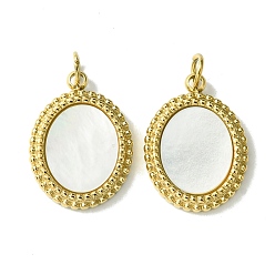 Настоящее золото 14K Ионное покрытие (IP) 304 подвески в виде ракушек из нержавеющей стали, овальные подвески с кольцами-прыгунами, реальный 14 k позолоченный, 16x11.8x2 мм, отверстие : 2.8 мм