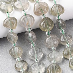 Зеленый Кварц Нити резных бусин из натурального зеленого кварца, формы раковины, с бисером, 12~13x13~14x4~7 мм, отверстие : 0.8~1 мм, около 26 шт / нитка, 15.35'' (39 см)