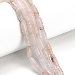 Морганит Натуральный розовый морганит бисер нитей, рис, 10~10.5x4~4.5 мм, отверстие : 0.6 мм, около 39 шт / нитка, 15.87'' (40.3 см)