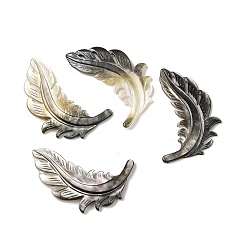 Black Lip Shell Natural Black Lip Shell Cabochons, Feather, 39.5x27.5x2.5mm