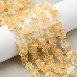 Цитрин Нагретые нити из натуральных цитриновых бусин, чип, 8~15x6~11x2~7 мм, отверстие : 0.9~1 мм, 15.75'' (40 см)