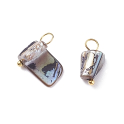 Серый Подвески из натуральных окрашенных ракушек, с золотыми тонами латунных петель, неправильные формы, серые, 13~14x7~13x5~10.5 мм, отверстие : 3~3.5 мм