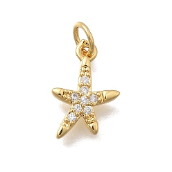 Морская звезда Латунные микропаве прозрачные кубические циркониевые подвески, без кадмия и без свинца, стойки покрытие, долговечный, реальный 18 k позолоченный, морская звезда, 15x10.5x2.5 мм, отверстие : 3.5 мм