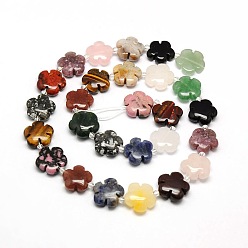 Mixed Stone Mixed Natural Gemstone Flower Beads Strands, 20x6.5mm, Hole: 1mm, about 20pcs/strand, 16.53 inch