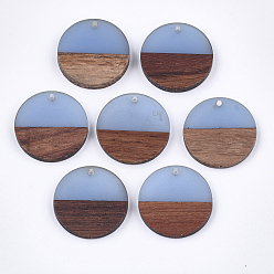 Васильковый Подвески из смолы и ореха, плоско-круглые, васильковый, 24.5~25x2.5~4.5 мм, отверстие : 2 мм