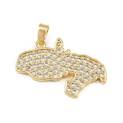 Прозрачный Латунные микро проложить кубического циркония подвески, Карта Африки, стойки покрытие, без кадмия и без свинца, долговечный, золотые, прозрачные, 16x25x2 мм, отверстие : 2 мм