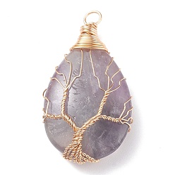 Аметист Природный аметист прелести, с латунной фурнитурой , слеза, 46~48.5x25~26x11~12 мм, отверстие : 4~5.5 мм