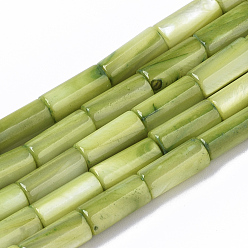 Желто-Зеленый Естественных пресноводных стеклянные бусы, окрашенные, колонка, желто-зеленый, 10x4.5 мм, отверстие : 0.9 мм, около 36 шт / нитка, 14.17 дюйм (36 см)