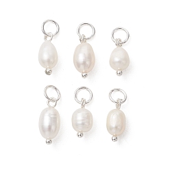 Серебро Подвески из натурального пресноводного жемчуга, подвески из риса с 304 соединительными кольцами из нержавеющей стали, белые, серебряные, 11.5~13x5~6 мм, отверстие : 3.3 мм