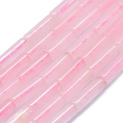 Розовый Кварц Природного розового кварца нитей бисера, колонка, 11~15x3.5~4.5 мм, отверстие : 1~1.2 мм, около 28~30 шт / нитка, 15.1~15.9 дюйм (38.5~40.5 см)