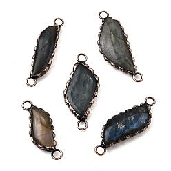 Лабрадорита Подвески-фигурки из натурального лабрадорита с перьями в латунной оправе, Красная медь, 39.5~51x14~21x5~8.5 мм, отверстие : 4 мм