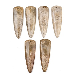 Треугольник Натуральные ископаемые коралловые подвески, подходящие подвески, треугольник прелести, 39~40x13~13.5x4~4.5 мм, отверстие : 1.2 мм