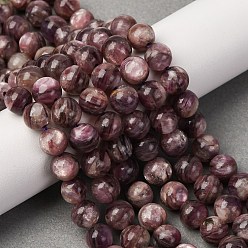 Лепидолит Натуральный лепидолит / пурпурный слюдяный камень бисер пряди, класс А, круглые, 8 мм, отверстие : 0.9 мм, около 49 шт / нитка, 15.75 дюйм (40 см)