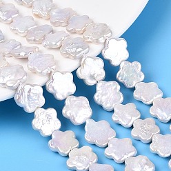 Морская Ракушка Натуральный жемчуг в стиле барокко кеши, зарождающаяся жемчужина, цветка сливы, цвет морской раковины, 10.5~14x10.5~13x3~5 мм, отверстие : 0.6 мм, около 16 шт / нитка, 7.09~7.48 дюйм (18~19 см)