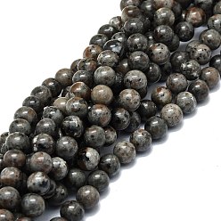 Syenite Натуральный флуоресцентный сиенитовый камень (светящийся в ультрафиолетовом свете) бусины нити, круглые, 10 мм, отверстие : 1 мм, около 39~40 шт / нитка, 15.35~15.55'' (39 см)