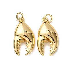 Другие Латунные подвески, с целью перехода в кольце, стойки покрытие, долговечный, без свинца и без кадмия, реальный 18 k позолоченный, 22x11.5x5 мм, отверстие : 3.5 мм