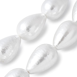 Белый Гальванические оболочки жемчужные бусы пряди, , слеза, белые, 25.5x16.5 мм, отверстие : 1.2 мм, около 8 шт / нитка, 7.83'' (19.9 см)