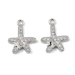 Платина Латунные микропаве прозрачные кубические циркониевые подвески, очарование морской звезды, платина, 15.5x13.5x2.3 мм, отверстие : 1.4 мм