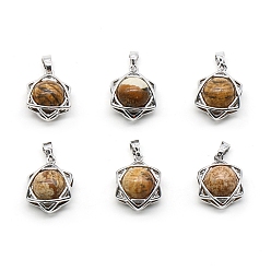 Пейзажный Джаспер Естественного изображения яшмы подвески, звезда Давида, платина, 20x14~15 мм