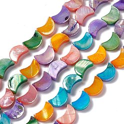Colorful Natural Freshwater Shell Beads Strands, Dyed, Moon, Colorful, 10x7.5x3mm, Hole: 0.6mm, about 32pcs/strand, 12.80 inch(32.5cm)