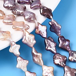 чертополох Натуральный жемчуг в стиле барокко кеши, зарождающаяся жемчужина, звезда, чертополох, 13~16.5x9.5~13x4~7 мм, отверстие : 0.6 мм, около 27 шт / нитка, 15.16~15.35 дюйм (38.5~39 см)