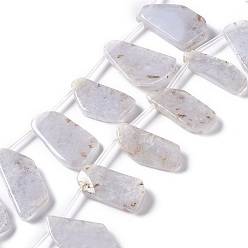 Blue Lace Agate Natural Blue Lace Agate Beads Strands, Top Drilled, Nuggets, 18~28x9~14x3~4.5mm, Hole: 1mm, about 21pcs/strand, 7.87''(20cm)