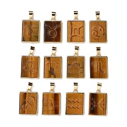 Tiger Eye 12Pcs 12 Styles Natural Tiger Eye Pendants, Rectangle Charms with Twelve Constellations, with Rack Plating Light Gold Tone Brass Findings, Cadmium Free & Lead Free, 22x16x3.5mm, Hole: 6x4mm, 1pc/style