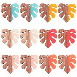 Mixed Color Resin & Wood Pendants, Tropical Leaf Charms, Monstera Leaf Pendant, Mixed Color, 30x28x3.5mm, Hole: 2mm, 6 colors, 2pcs/color, 12pcs/box