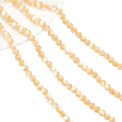 BurlyWood Natural Trochid Shell/Trochus Shell Beads Strands, Round, BurlyWood, 5mm, Hole: 1mm, about 84~85pcs/strand, 15.55 inch(39.5cm), 2strands/box