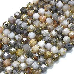 Бамбуковые Листья Агат Природные бамбуковых листьев агат бисер нитей, с бисером, граненый стол, вырезанный куб, 8~9.3x8~9.3x8~9.3 мм, отверстие : 0.6 мм, около 38 шт / нитка, 15.35'' (39 см)