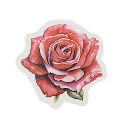 Brown 50Pcs 25 Styles Flower PET Waterproof Stickers Sets, Adhesive Decals for DIY Scrapbooking, Photo Album Decoration, Brown, 28~40x30~35x0.1mm, 50pcs/set