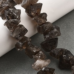 Дымчатый Кварц Природный дымчатый кварц нитей бисера, необработанный грубый камень, самородки, 7~25x8~24.5x5~16 мм, отверстие : 0.9~1 мм, около 14~28 шт / нитка, 7.48''~8.43'' (19~21.4 см)