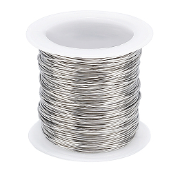 Нержавеющая Сталь Цвет 1 свернуть проволоку из хвоста тигра, 316 хирургическая нержавеющая сталь, для изготовления ювелирных изделий, цвет нержавеющей стали, 21 датчик, 0.7 мм, около 42.65 футов (13 м) / рулон