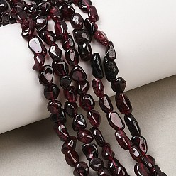 Гранат Гранат природный бисер нитей, самородки, упавший камень, 4~10x5~8x4~7.5 мм, отверстие : 0.8 мм, около 55~58 шт / нитка, 16.14'' (41 см)