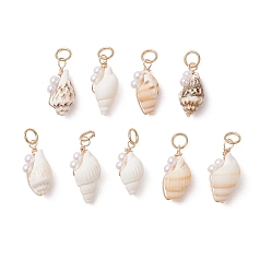 (52) Непрозрачная лаванда Естественно спиральные подвески оболочки, Подвески в форме ракушки с имитацией жемчуга, обмотанной медной проволокой., золотые, разноцветные, 16~19x6.5~8.5x8~9 мм, Перейти кольцо: 5x1 мм, внутренний диаметр: 3.5 мм