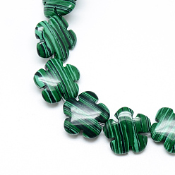 Malachite Synthétiques brins de perles de malachite, fleur, 15.5~16x16x6mm, Trou: 1mm, Environ 25 pcs/chapelet, 15.1 pouce