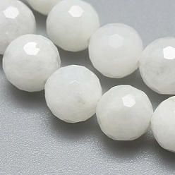Rainbow Moonstone Natural Rainbow Moonstone Beads Strands, Faceted, Round, 8mm, Hole: 1mm, about 49pcs/strand, 15.7 inch(40cm)