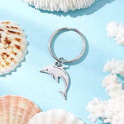 Dolphin Океанская тема 304 брелки из нержавеющей стали, цвет нержавеющей стали, дельфин, 55 мм